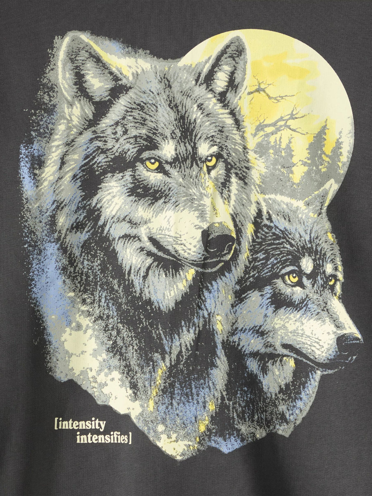 LEVI'S - Sunset Lone Wolf Crewneck Sweatshirt -