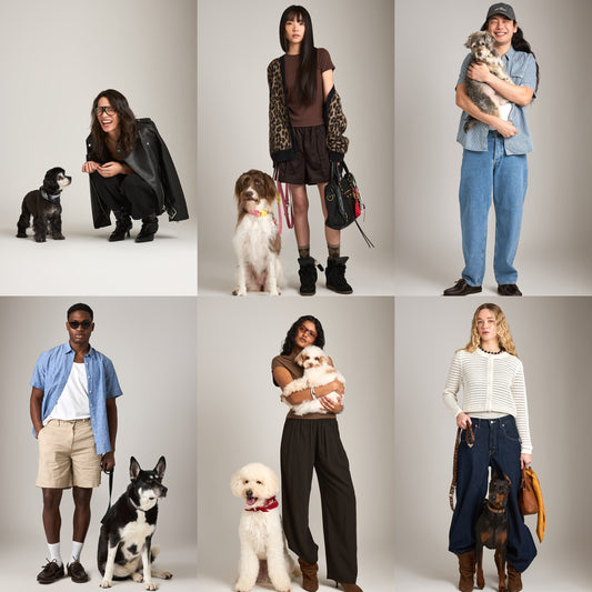 Calling All Good Dogs