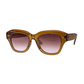 AJ MORGAN - Rowan Sunnies - Green