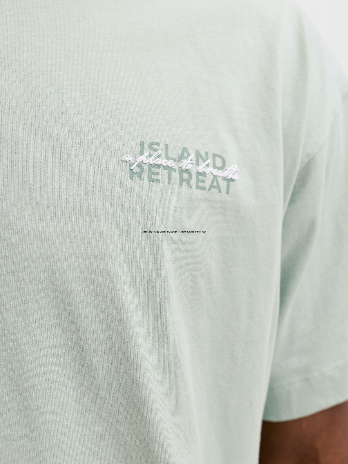 JACK & JONES - Eterna Shortsleeve Graphic T-Shirt - 