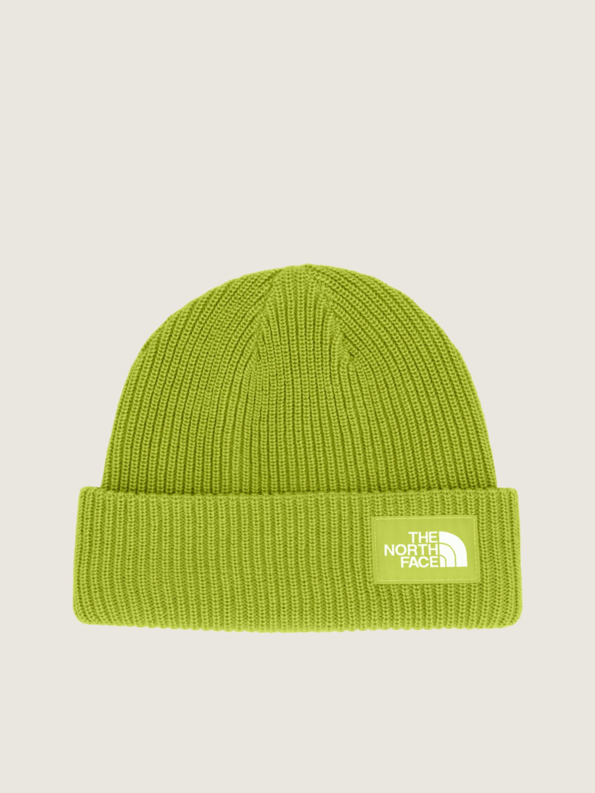 THE NORTH FACE - Salty Lined Beanie - Sport Moss