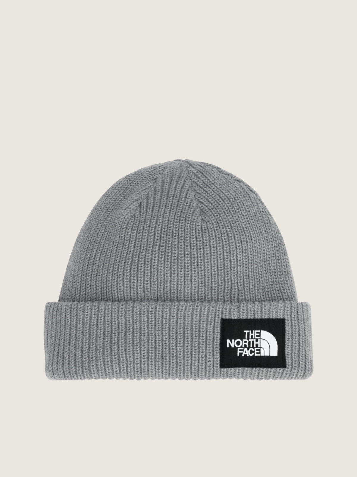 THE NORTH FACE - Salty Lined Beanie - 
